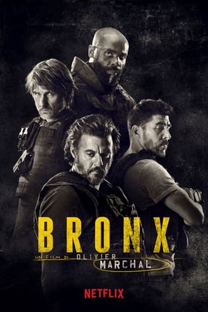 Poster Bronx 2020