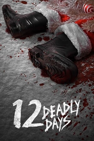Poster 12 Deadly Days 2016