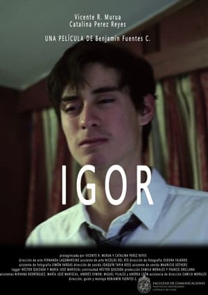 Poster Igor 2020