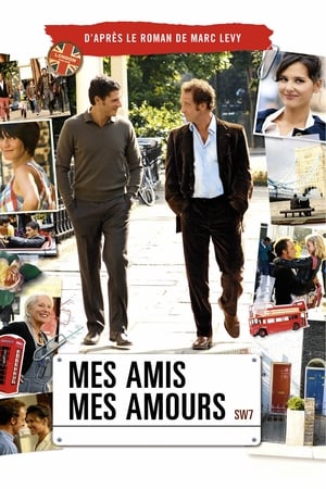Poster Mes amis, mes amours 2008