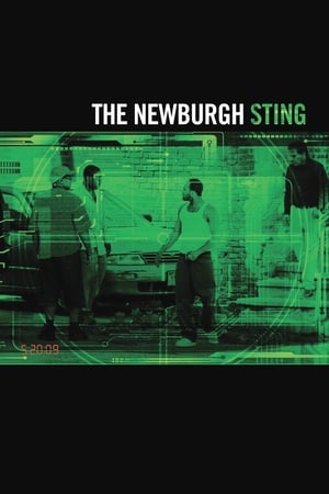 Poster The Newburgh Sting 2014