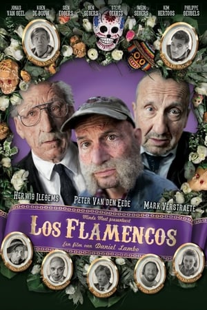 Poster Los Flamencos 2013