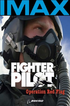 Poster Fighter Pilot: Operation Red Flag 2004
