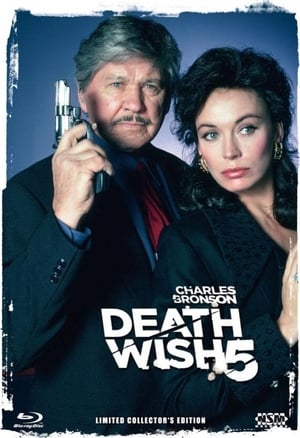 Poster Death Wish 5 - Antlitz des Todes 1994