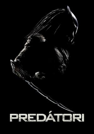 Poster Predátori 2010