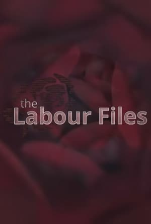 Image The Labour Files