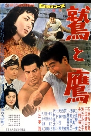 Poster 鷲と鷹 1957