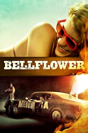Poster Bellflower 2011