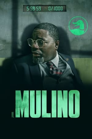 Poster Il Mulino 2023