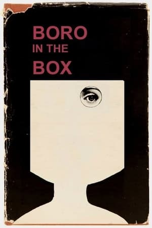 Poster Boro in the Box 2014