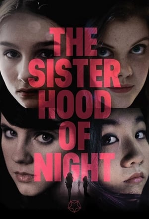 Poster Сестринство ночи 2015
