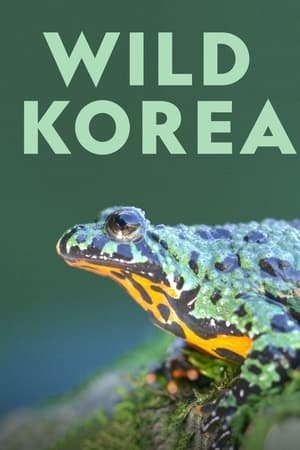 Poster Wild Korea 2019