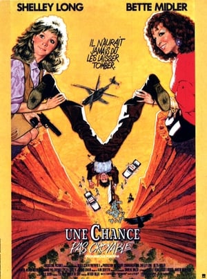 Poster Une chance pas croyable 1987