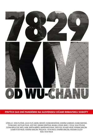 Poster 7829 km od Wu-chanu 2021