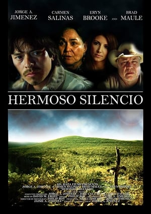 Poster Hermoso Silencio 2010