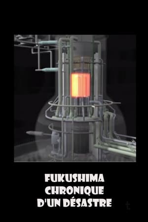 Image Fukushima, chronique d'un désastre