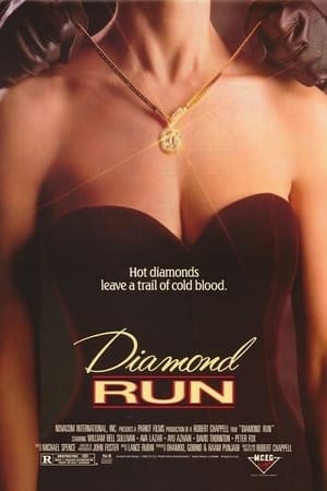 Poster Diamond Run 1996