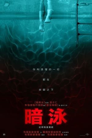 Poster 暗泳 2024