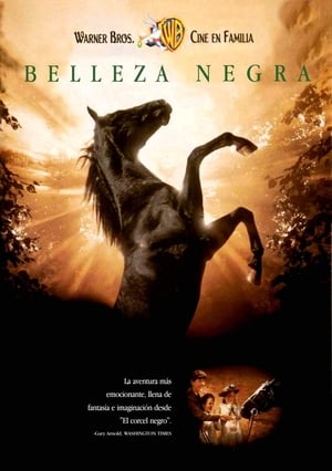 Poster Belleza Negra 1994