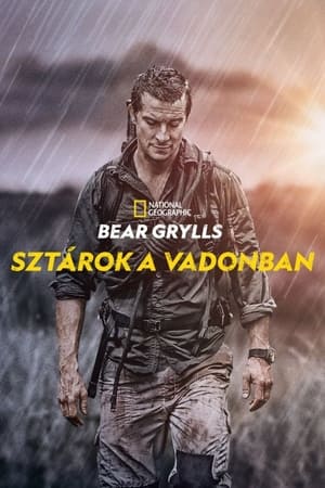 Poster Bear Grylls: Sztárok a vadonban 2. évad 2015