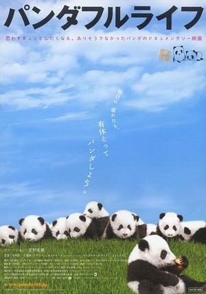 Poster 大熊猫的生活 2008