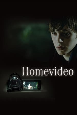 Poster 家庭录像带 2011