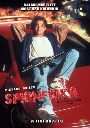 Poster Spionfióka 1991