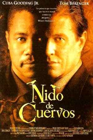Poster Nido de cuervos 1999