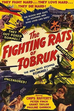 Poster The Rats of Tobruk 1944