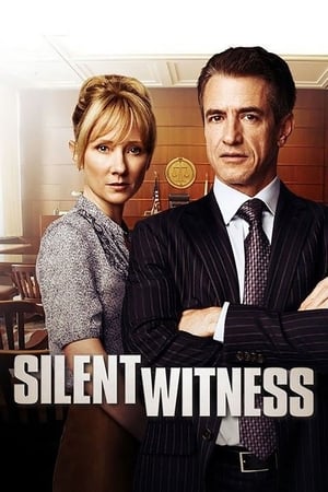 Poster Silent Witness 2011