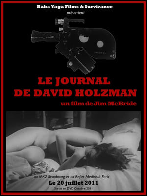 Poster Le Journal de David Holzman 2011