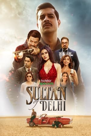 Image Sultan Of Delhi