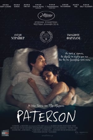 Poster Paterson 2016