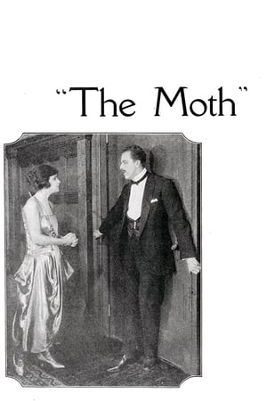 Image The Moth