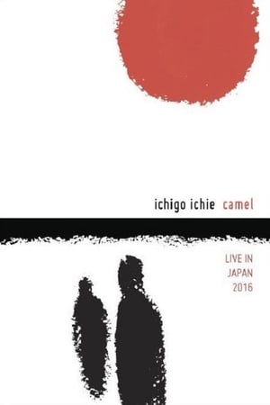 Poster Camel: Ichigo Ichie - Live in Japan 2016 2017