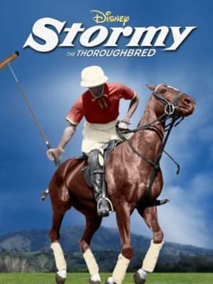 Poster Stormy, the Thoroughbred 1954
