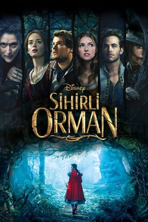 Poster Sihirli Orman 2014