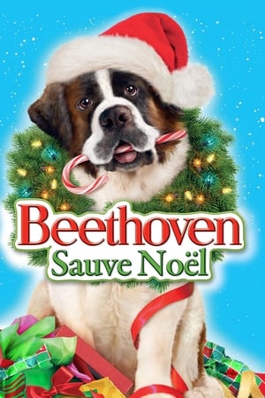 Poster Beethoven sauve Noël 2011