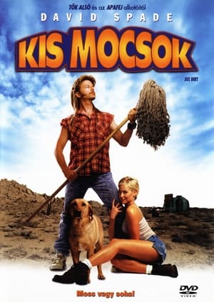 Poster Kismocsok 2001