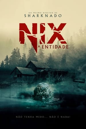 Poster Nix 2022