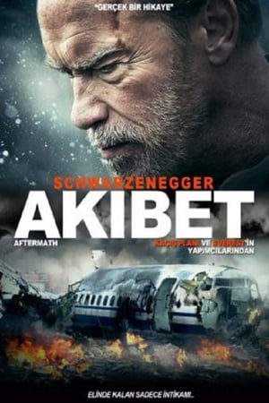 Poster Akıbet 2017