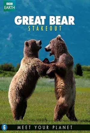 Image Great Bear Stakeout