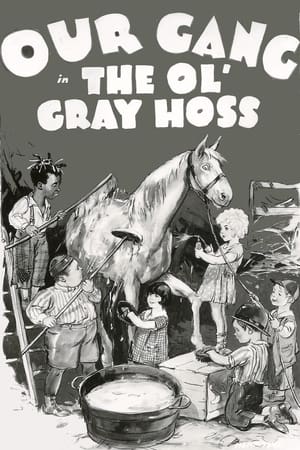 Poster The Ol' Gray Hoss 1928