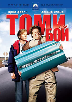 Poster Томи Бой 1995