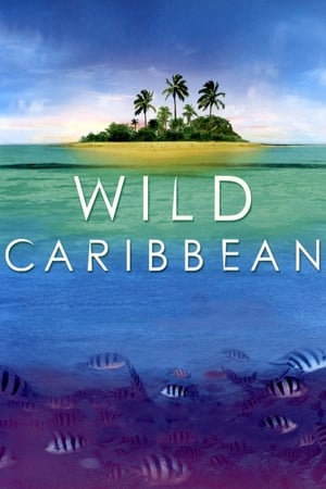 Poster Wild Caribbean 2007