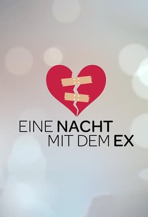 Poster Eine Nacht mit dem Ex 2018