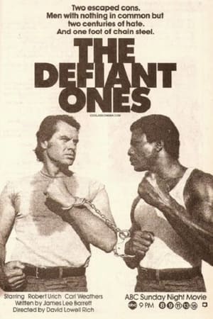 Poster The Defiant Ones 1986