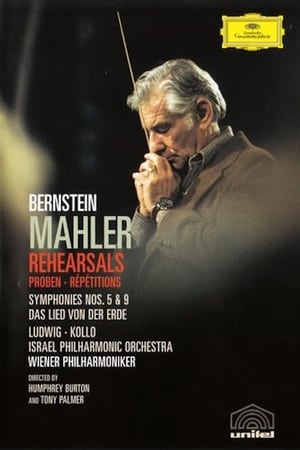 Poster Bernstein Mahler Rehearsal 1976