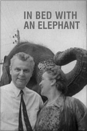 Image In Bed with an Elephant