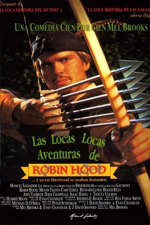 Poster Las locas, locas aventuras de Robin Hood 1993